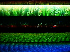 STRIATED FIELDS